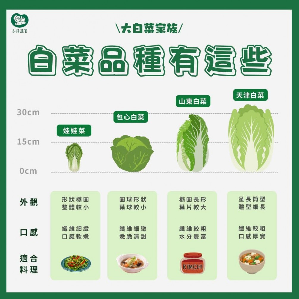 讓你一秒知道大白菜們的特徵與料理方式