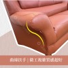 【沙發】【添興家具】SHT630-2 查布沙發/半牛皮沙發/座感稍硬/CP值高/特殊頭枕