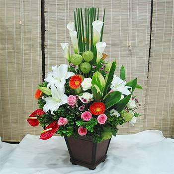 華麗盆花26A