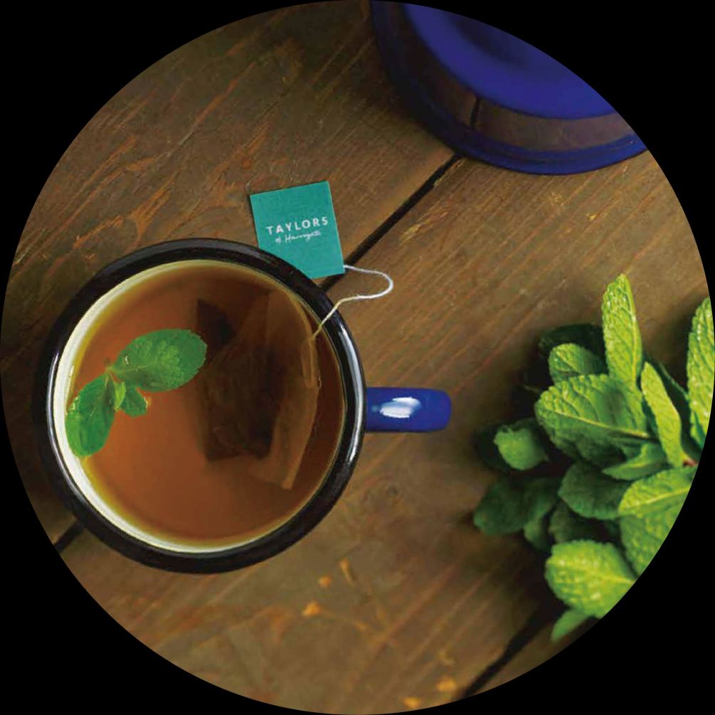 防疫更要增強身體機能，你今天喝花草茶了嗎?