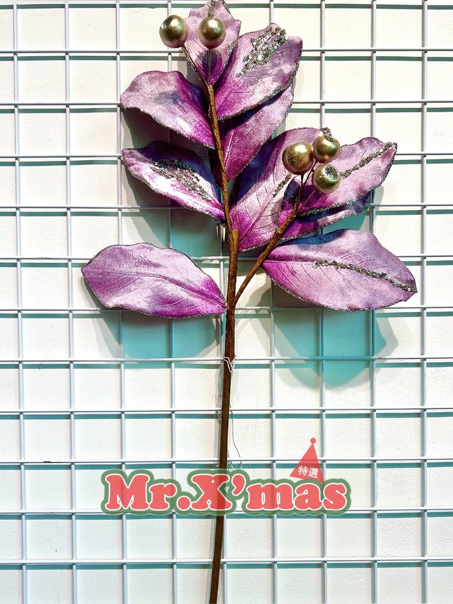 淺紫紅金果大葉長枝