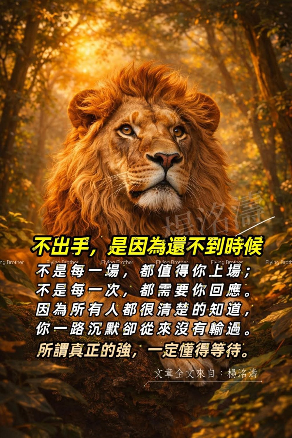 《不出手，是因為還不到時候》