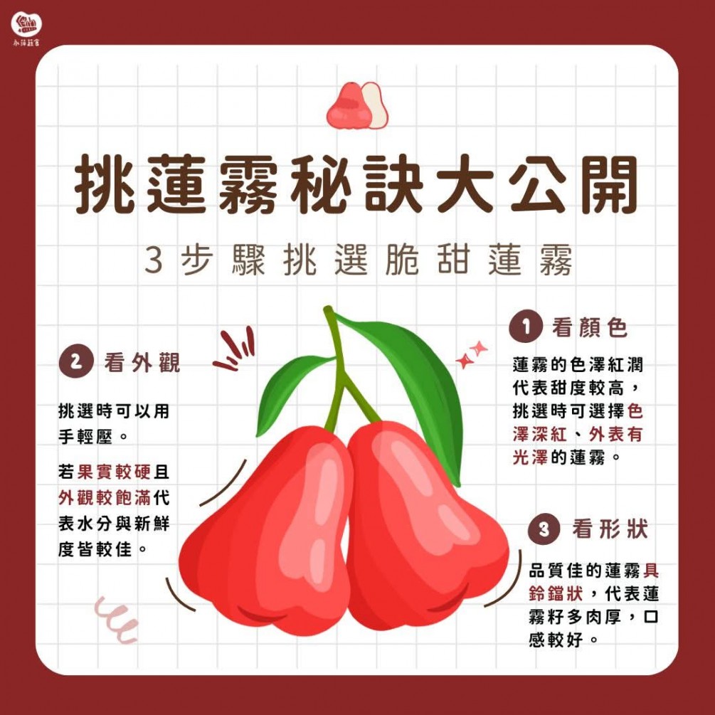 挑選蓮霧的訣竅！