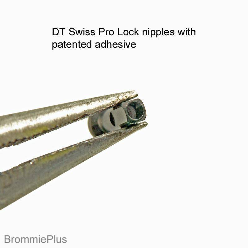 DT Swiss Alloy Squorx Pro-Lock Nipples - 14 Pieces