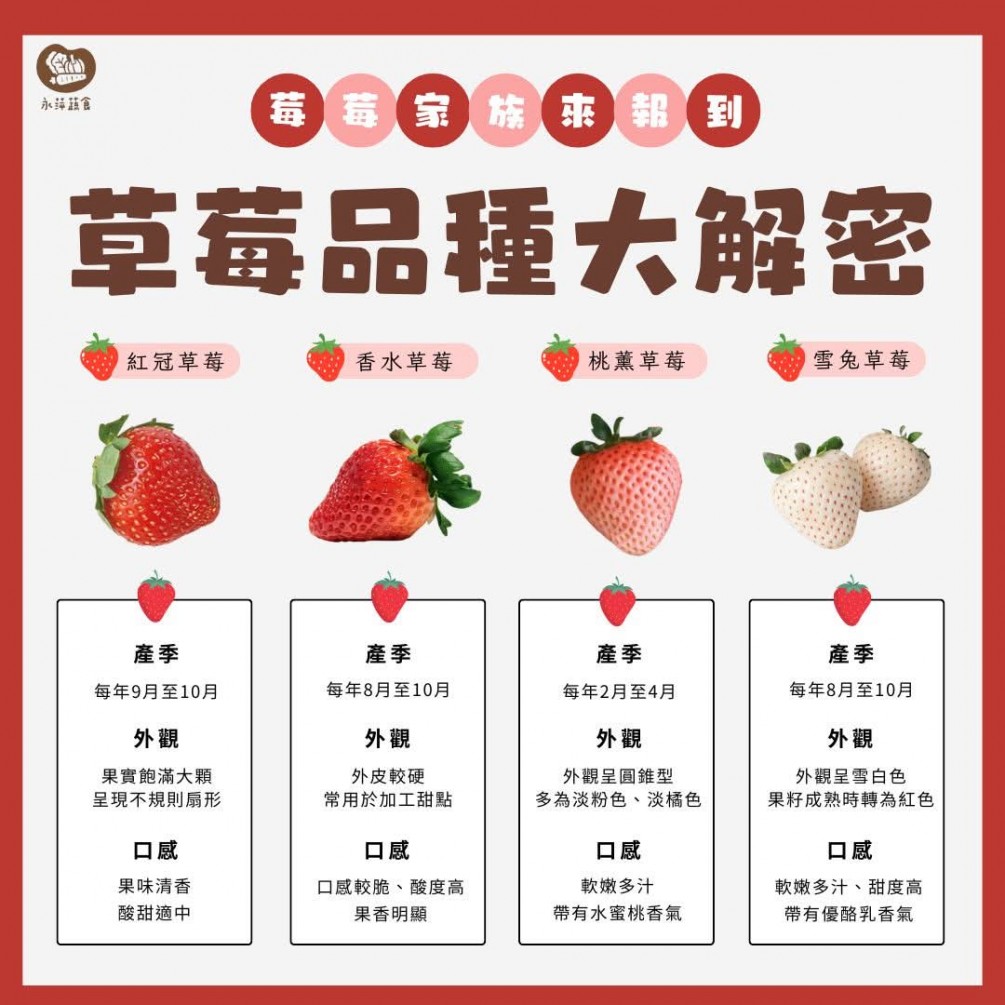  今天要介紹草莓家族的成員 不同產季、不同品種、不同口感 讓你快速找到自己最喜歡的夢幻草莓✨ 快來一起看看吧❤️鮮 #草莓
