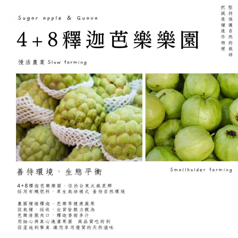 永萍挺小農#4+8釋迦芭樂樂園