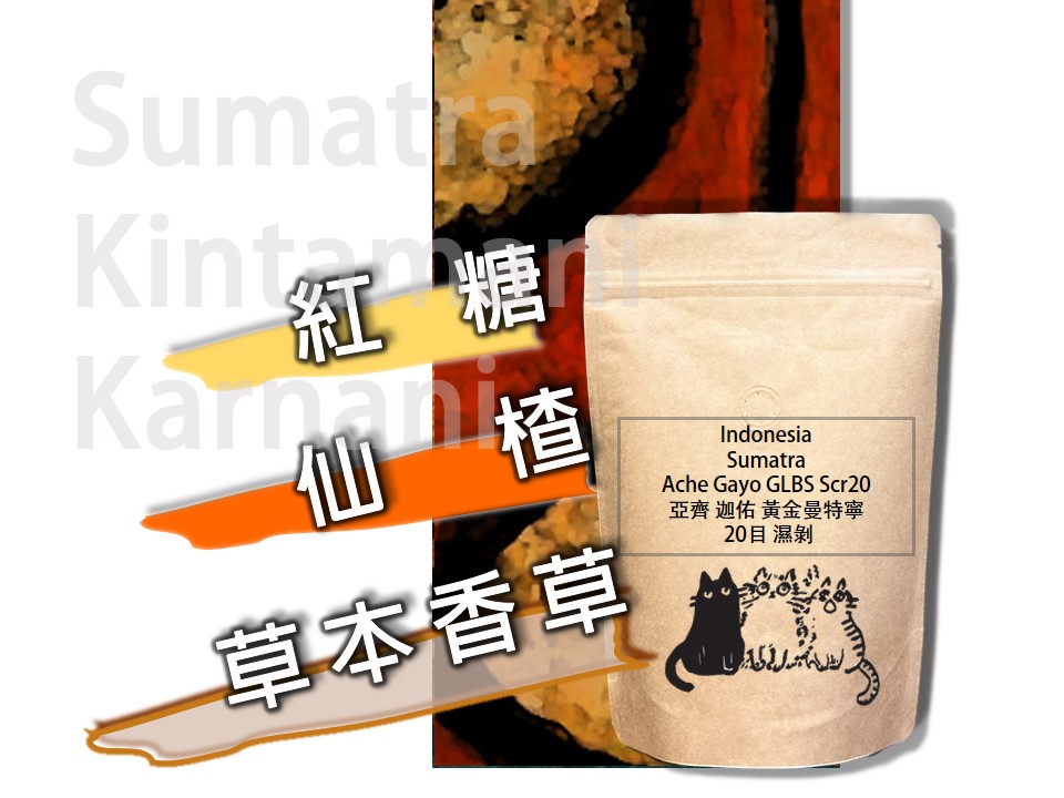 印尼 亞齊 黃金曼特寧