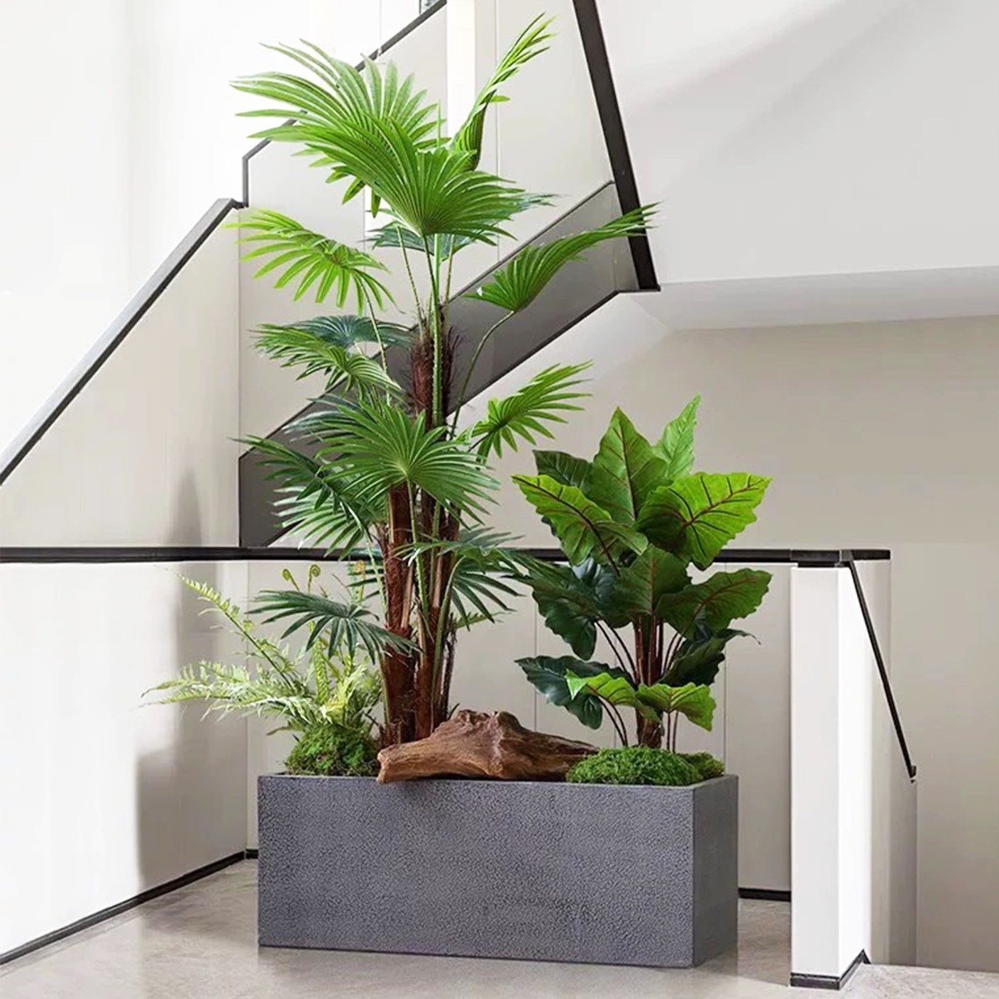 【 禪風雨林 】