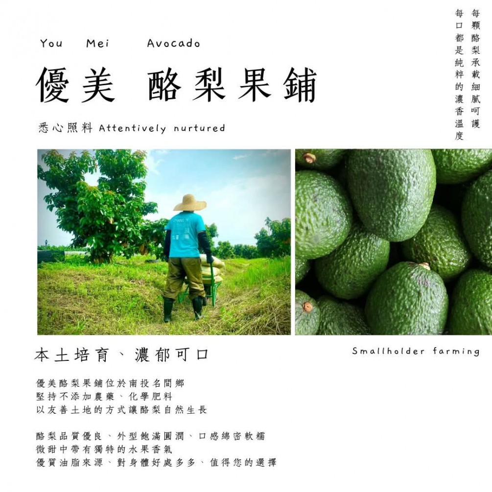 永萍挺小農 之優美酪梨果鋪