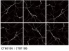 大理石釉拋磚【SP-CT68104/CT6810506~7(6色)】60X60 80X80金鋒銀狐米黃灰黑白根卡特蘭｜居家空間 客廳 臥室 │辦公室│餐廳│商業設計｜地壁兩用磚.#