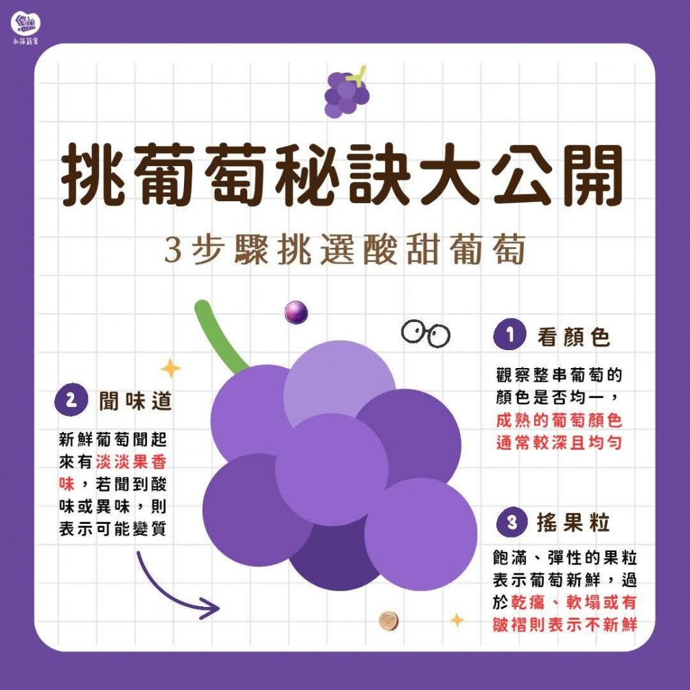 葡萄美食挑選大公開