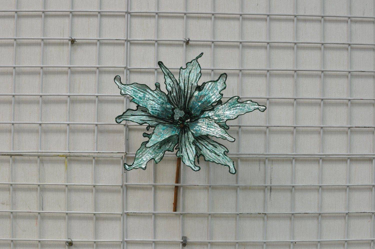 藍綠聖誕花--11片葉