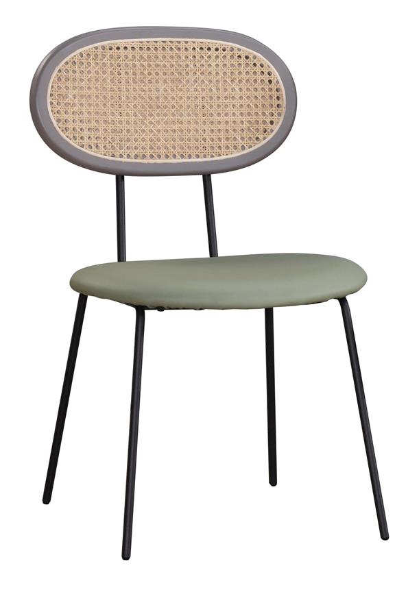 CO-507-2 多特淺綠色餐椅 (不含其他產品)<br />尺寸:寬49*深58*高83cm