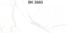 亮面。釉拋系列【SP-BK3661~SP-BK3665(4色)】堡格麗30X60 壁磚#