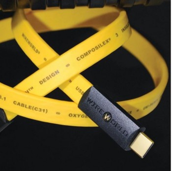 Chroma  USB 3.1   C to C Digital Audio Cable數位訊號線