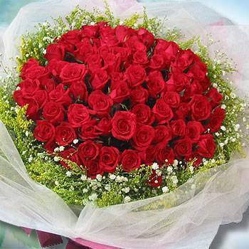 《真愛宣言》99朵玫瑰滿天星花束