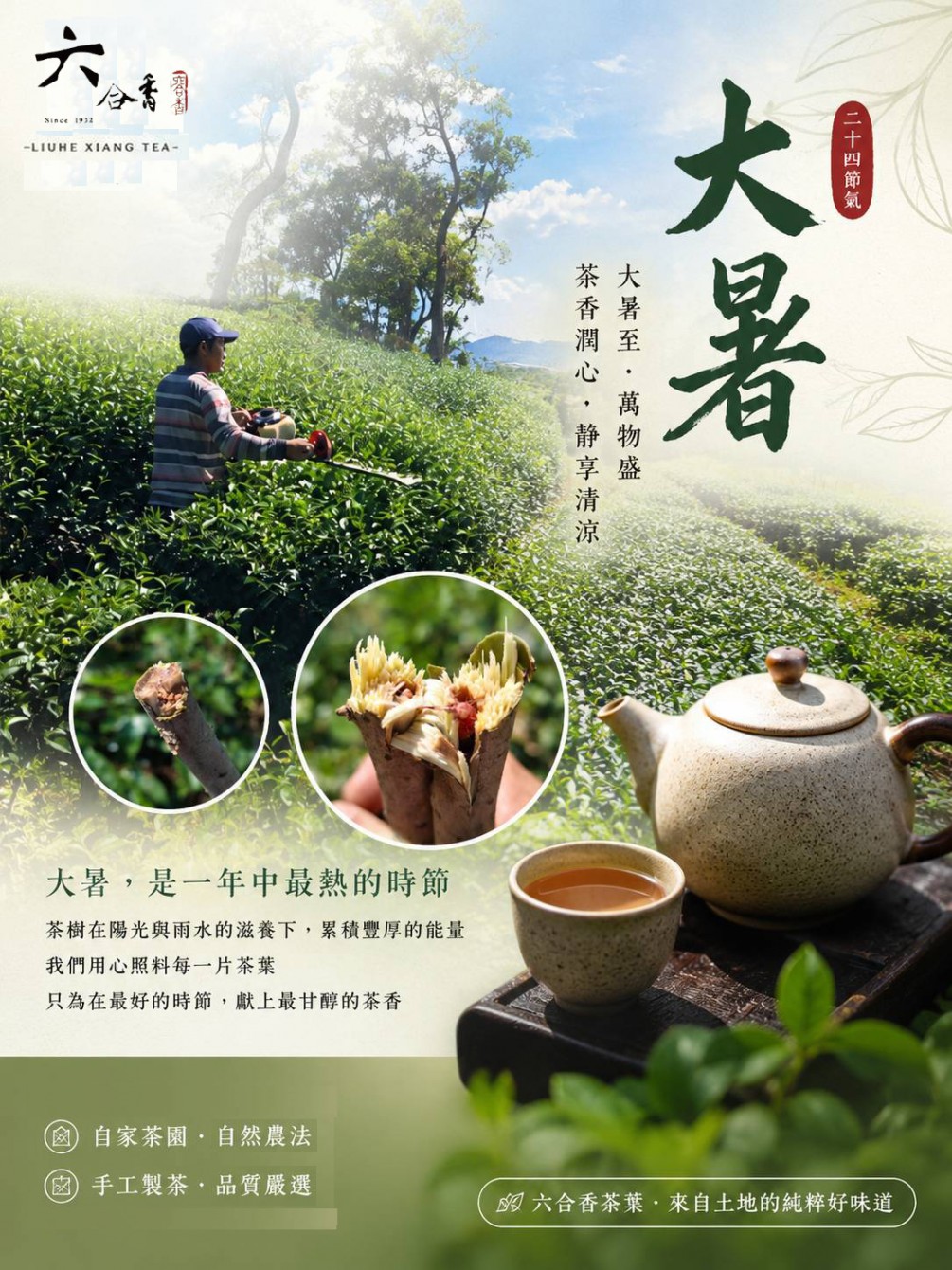 大暑