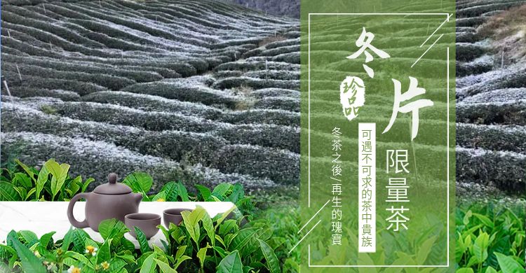 2024冬片(限量)