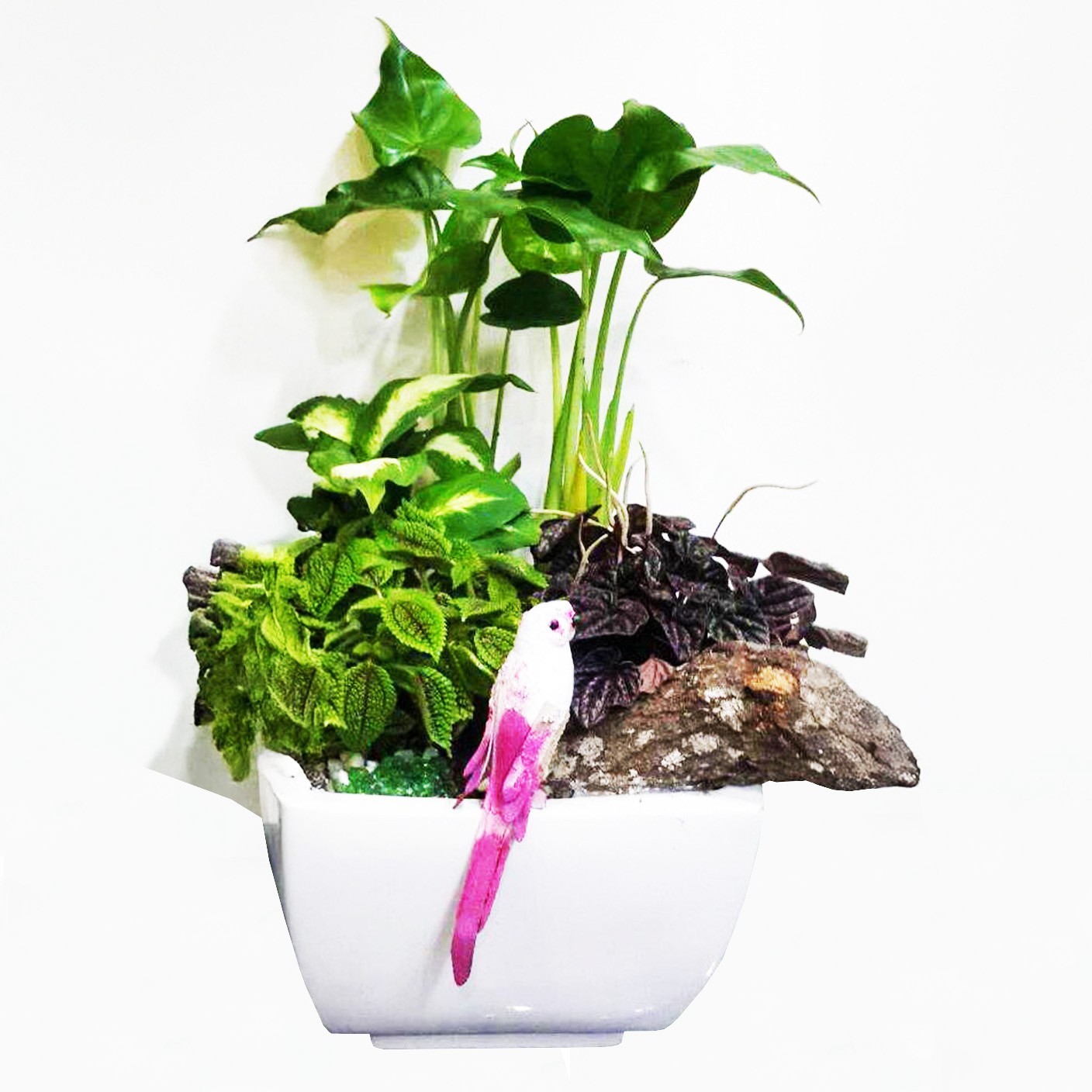 【 商務植界 】