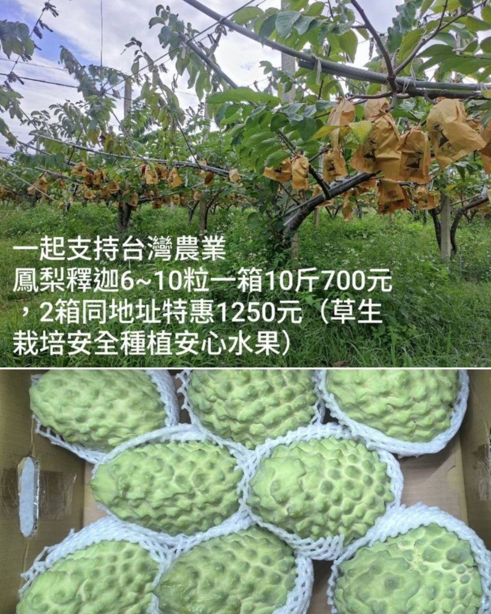 永萍挺小農＆4+8樂園