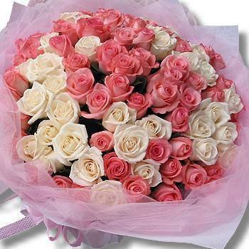 《純情依依》99朵白粉雙色玫瑰花束