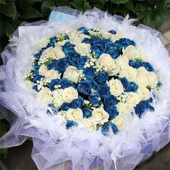 《情意濃》99朵藍白雙色玫瑰花束