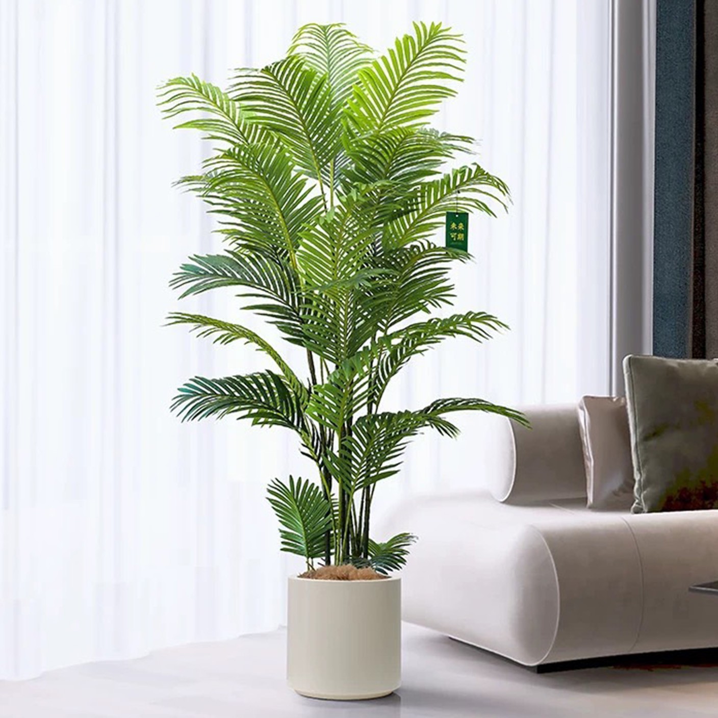 【 都市椰林 】