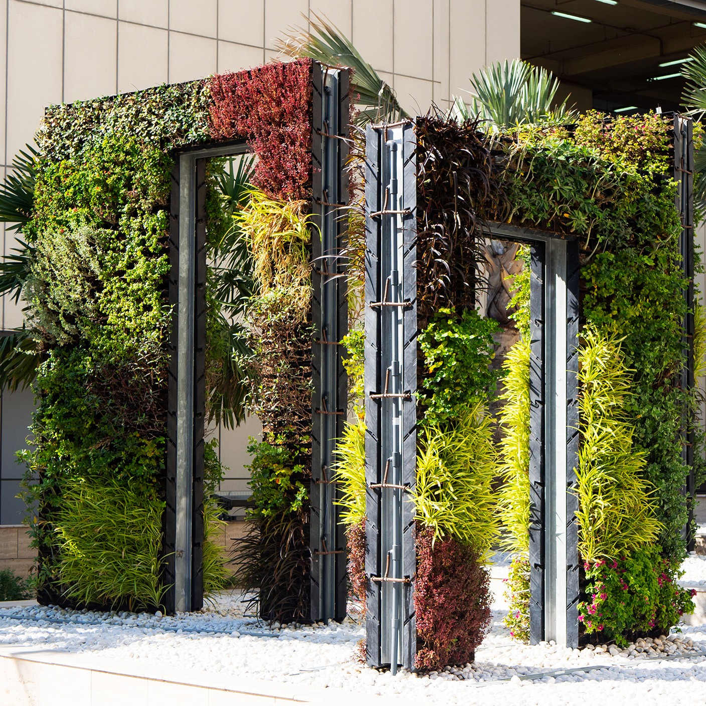 【 熱帶印象 】