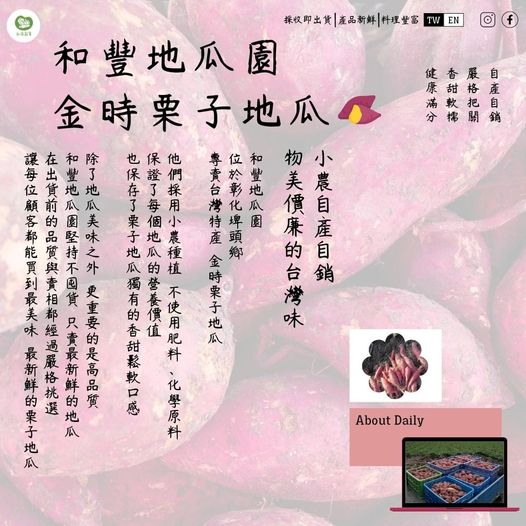 永萍挺小農！！！〝和豐地瓜園——金時栗子地瓜〞