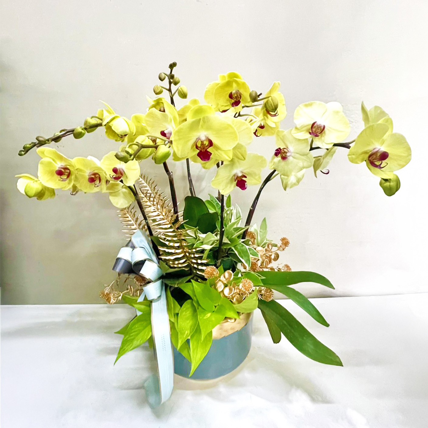 【 金蘭雅聚 】