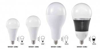 LED 大W數球泡燈 20-65W