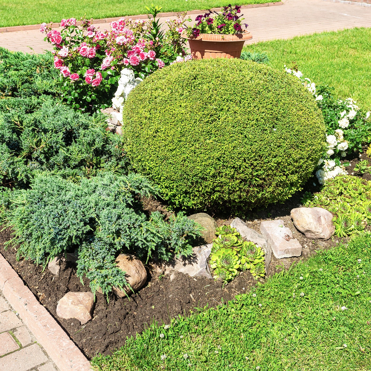 【 晨曦山景 】