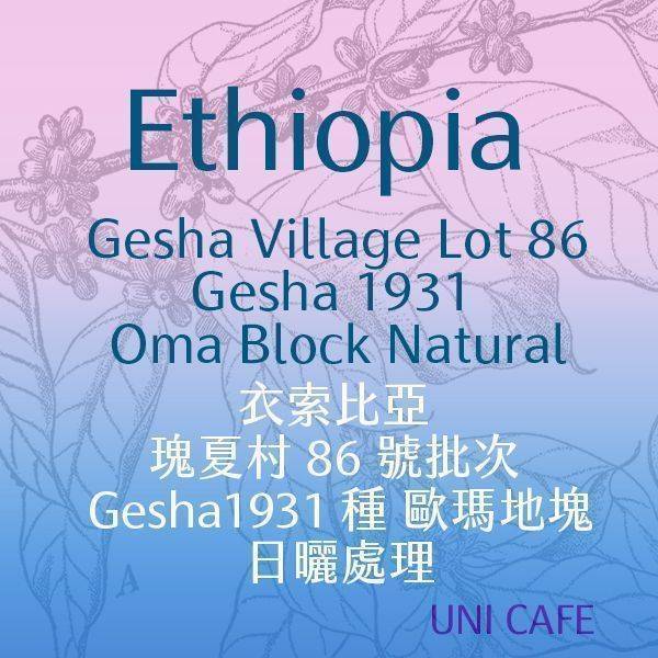 【Geisha】衣索比亞 瑰夏村 86 號批次 Gesha1931種 歐瑪地塊 日曬處理法