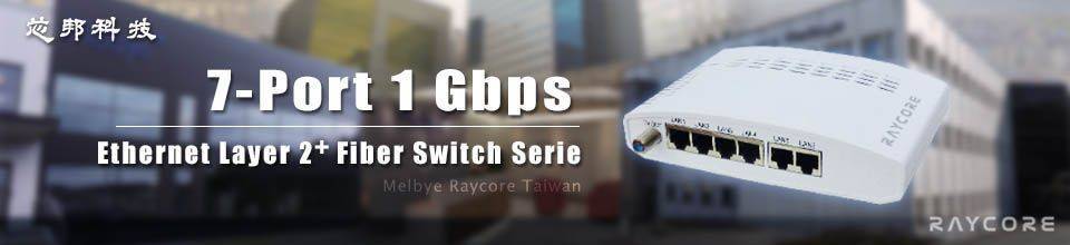 Raycore 7 port switch