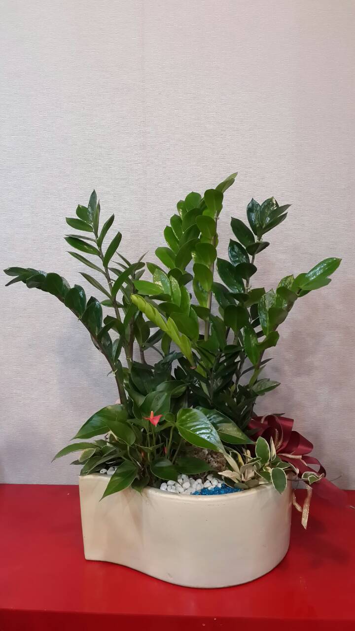 ✦桌上型組合盆栽✦IJ-015