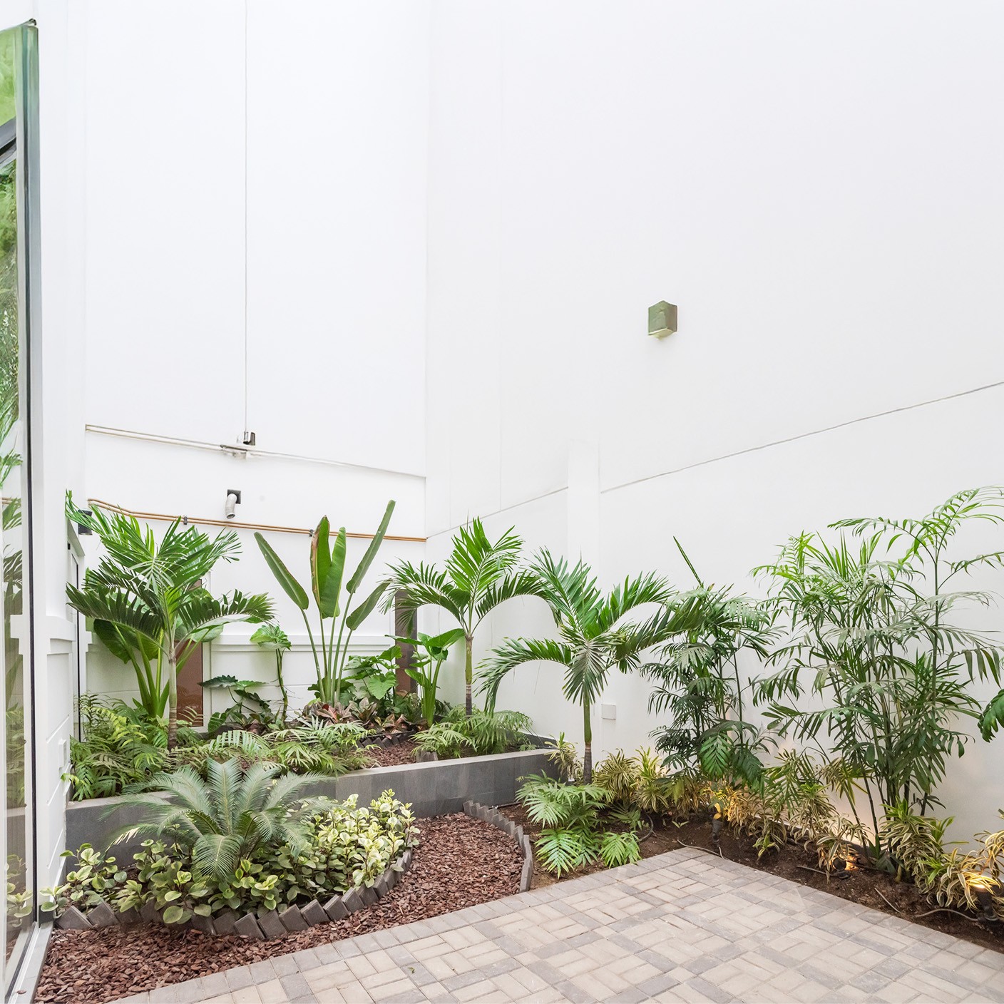 【 夏季中央 】