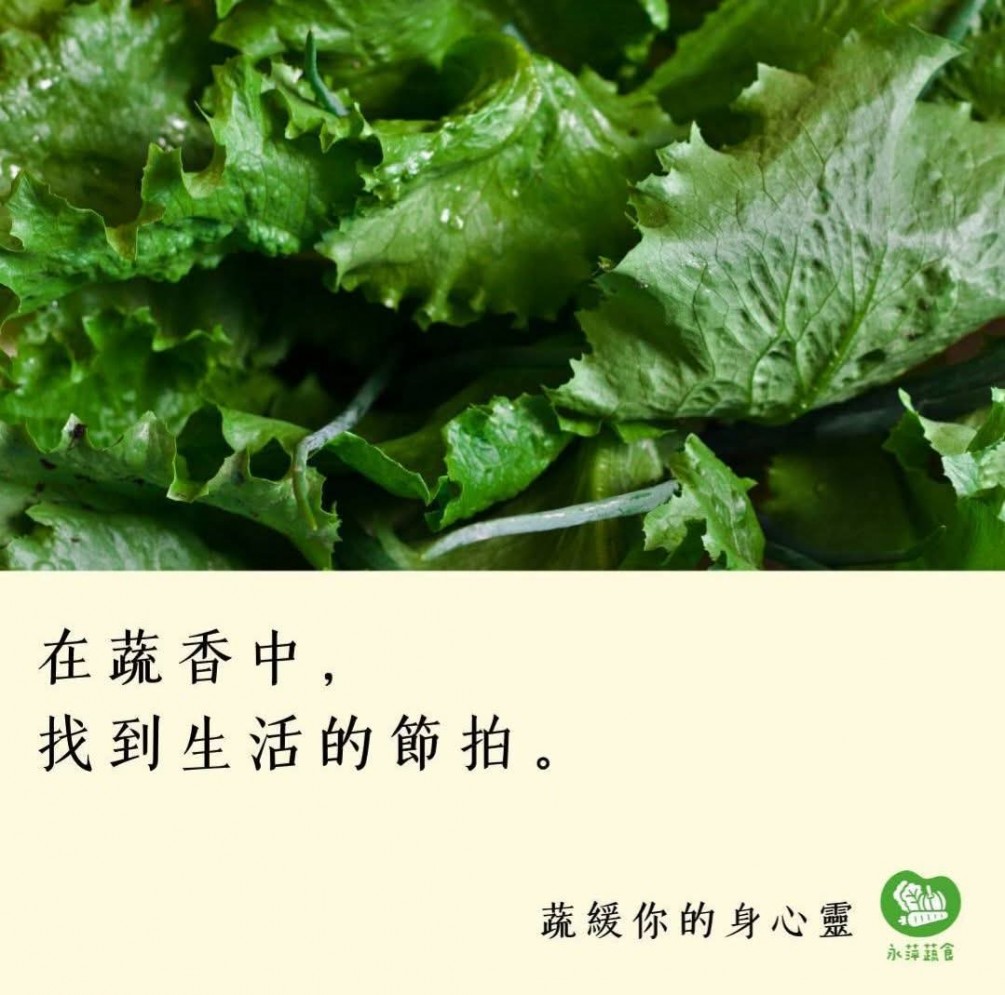 #蔬緩你的身心靈  在蔬香中， 找到生活的節拍。