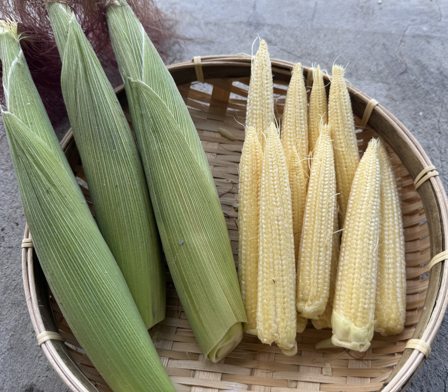 秝豪玉米筍（​5/20開始陸續出貨）