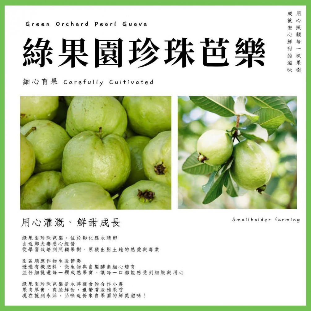 永萍挺小農 #綠果園珍珠芭樂???