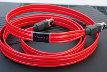 Starlight 10 ETH (星光)網路線