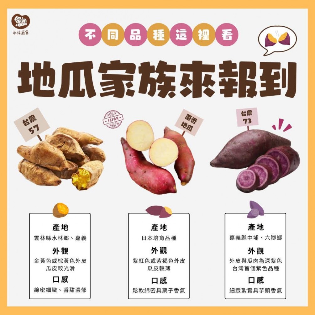 帶您一次認識不同地瓜的口感與特色