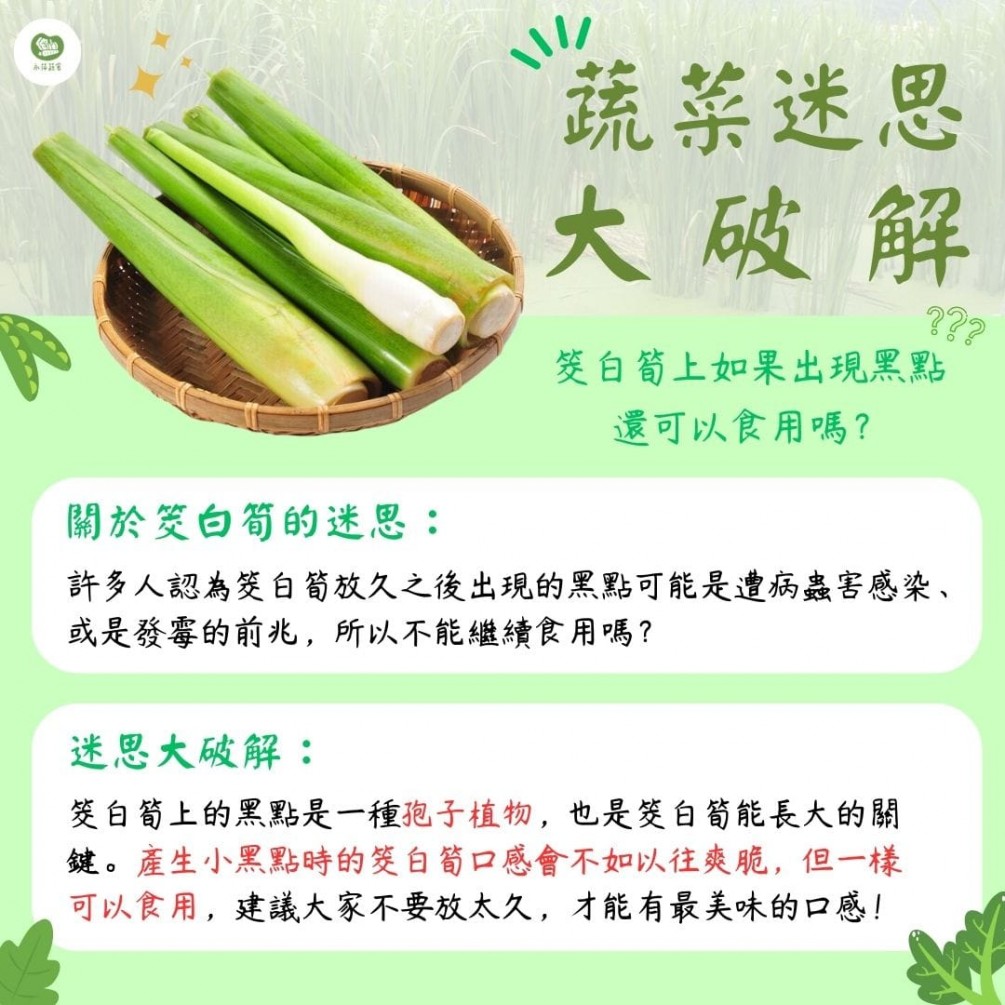 永萍蔬果小百科－「如果筊白筍出現黑點就不能食用?」