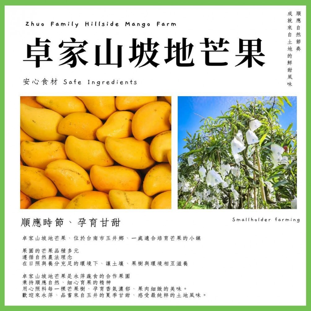 永萍挺小農 #卓家山坡地芒果