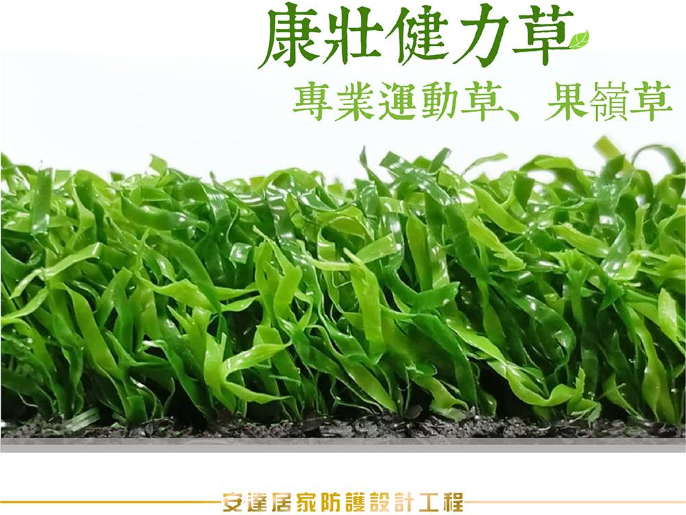 康壯健力草｜草高15mm