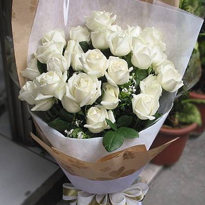 《情人》33朵翡翠白玫瑰生日送花情人花束