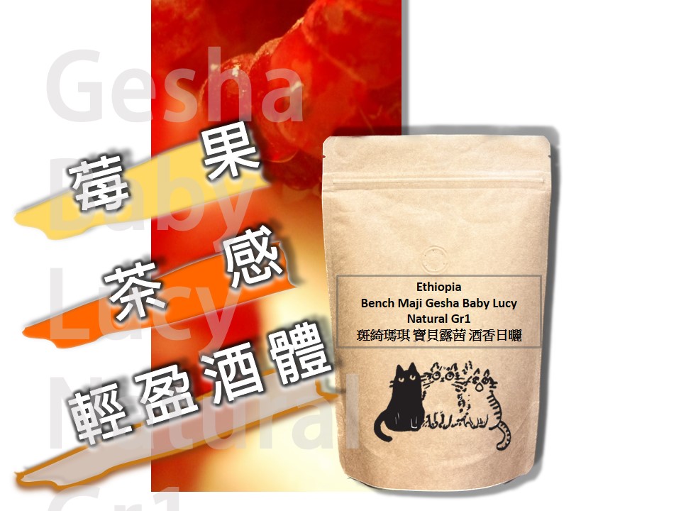  斑綺瑪琪 寶貝露茜  原生藝妓種 酒香日曬