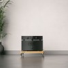 Hegel H30 1X1100W 單聲道後級擴大機