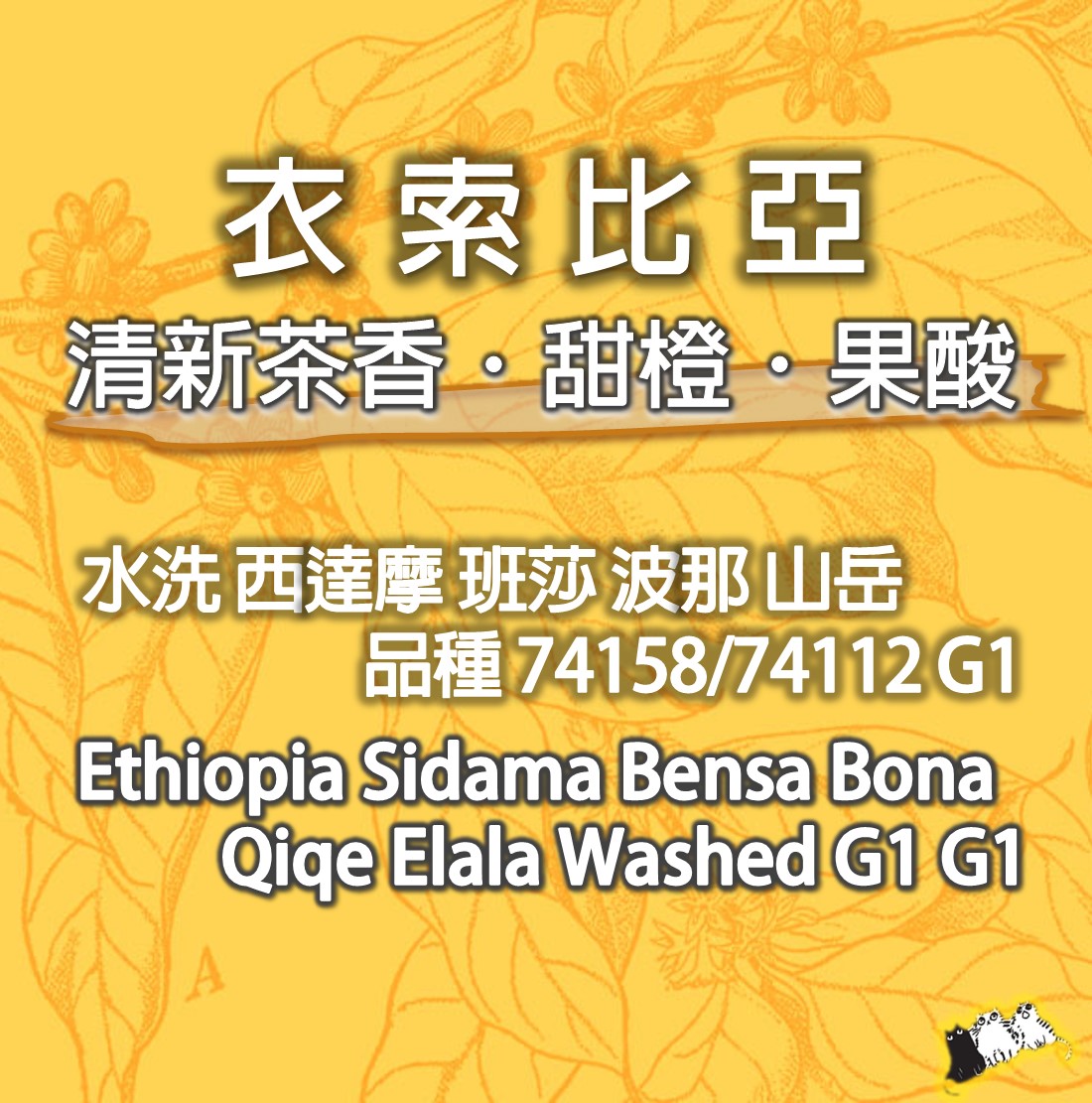 【強推】 新產季 ​ 衣索比亞 西達摩 班莎 波那村 山岳批次 水洗 G1※74158/74112 品種