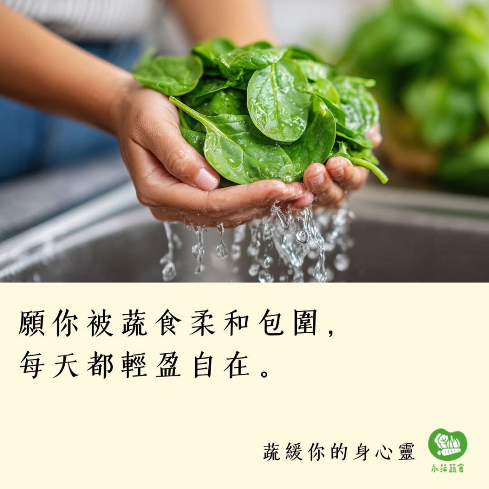 #蔬緩你的身心靈  願你被蔬食柔和包圍， 每天都輕盈自在。