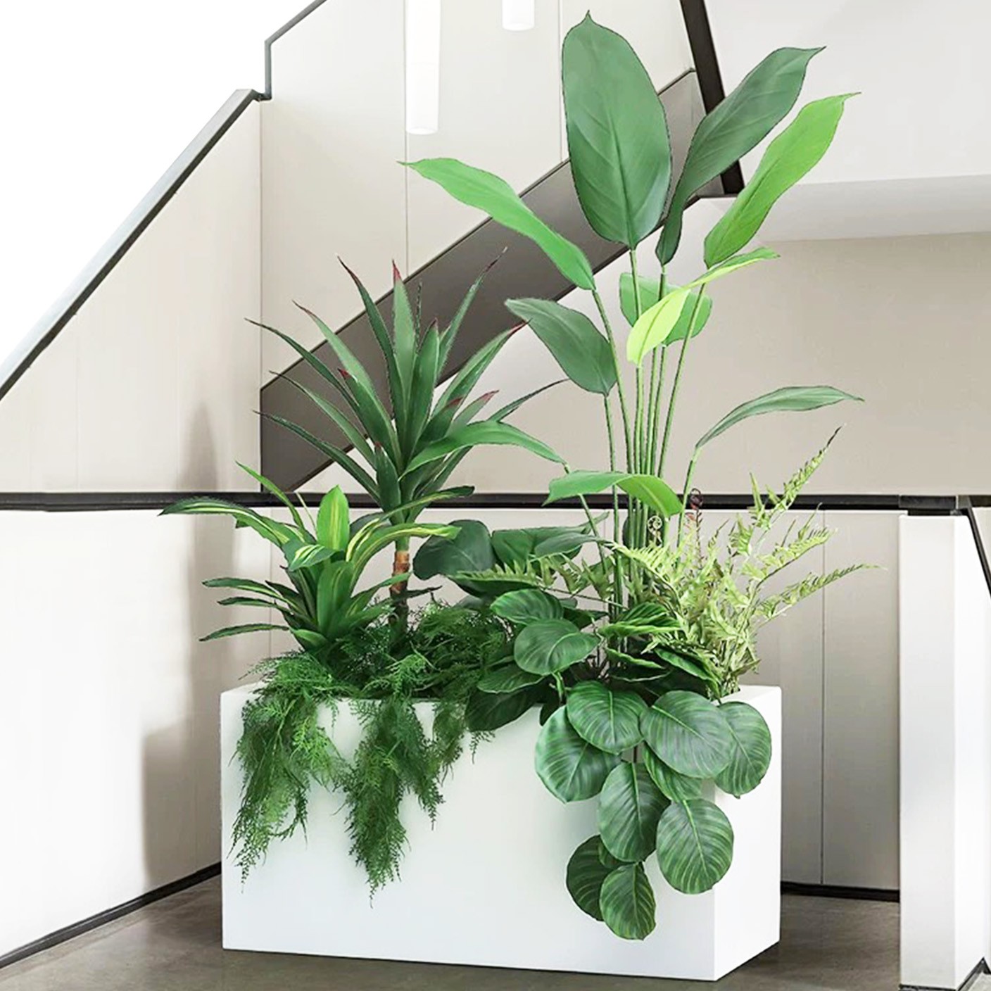 【 晨曦獨影 】